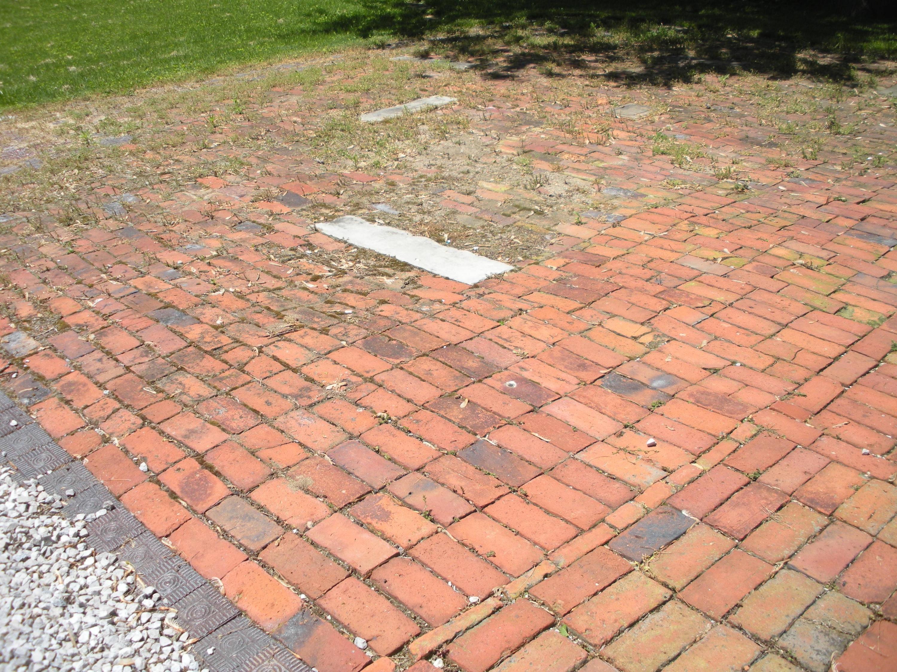 47 Front Street Commercial Point, OH 43116 - Photo 20 of 24