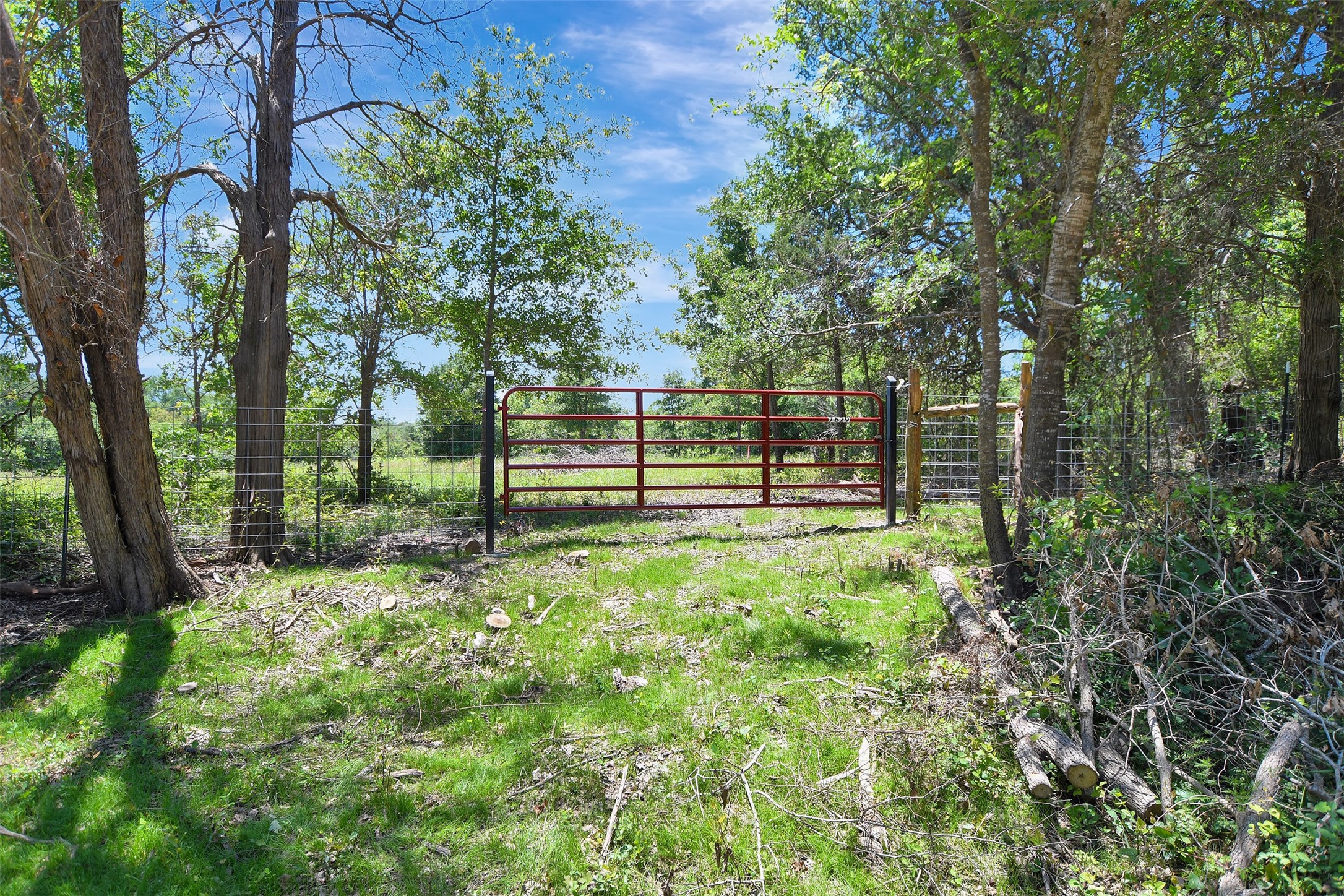 7629 Oxford Cemetery Road Madisonville, TX 77864 - Photo 8 of 12