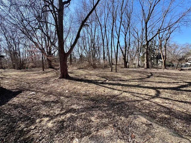 a view of a backyard with large trees