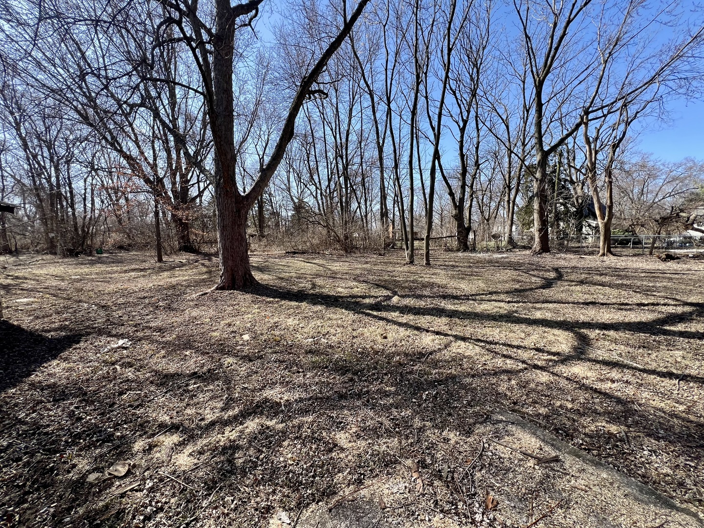 212 Brady Lane Urbana, IL 61802 - Photo 5 of 6 a view of a backyard with large trees