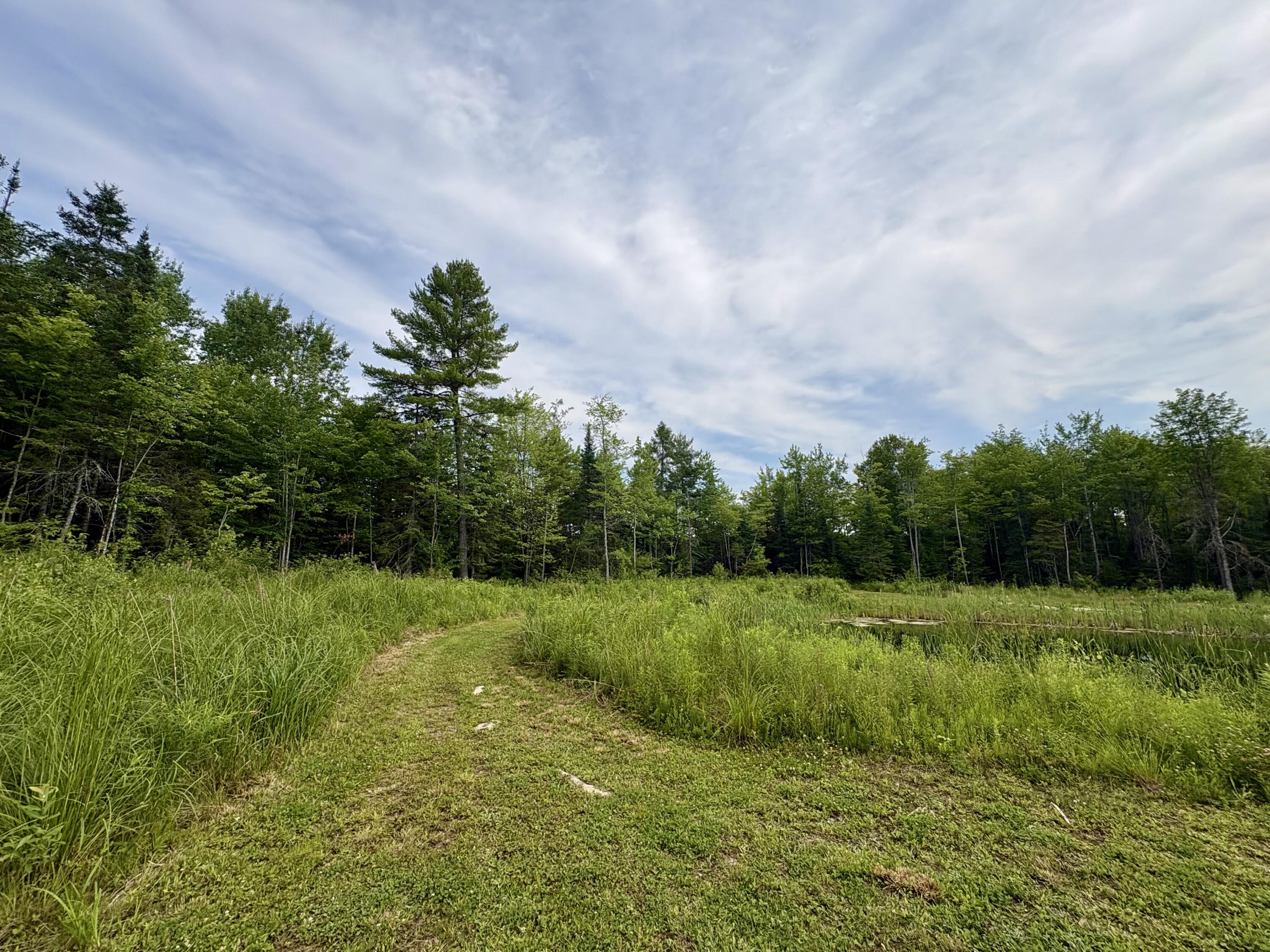 62 Old Keene Road Chester, ME 04457 - Photo 44 of 57 IMG_5116