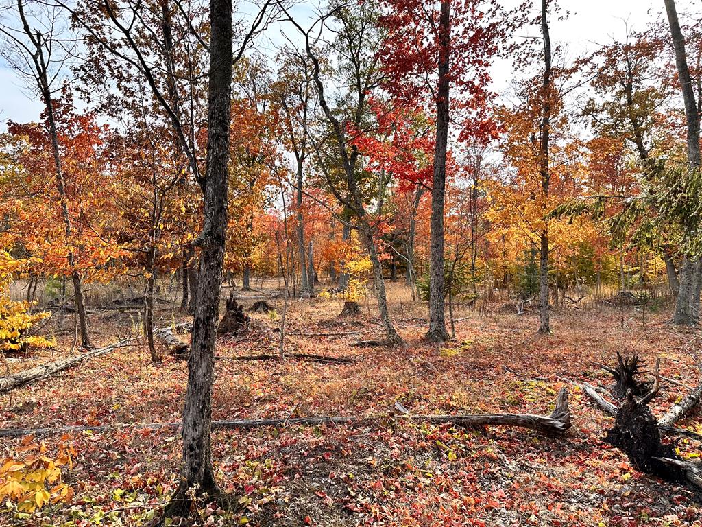 Lot 4 Isle View Road Ellison Bay, WI 54210 - Photo 7 of 11