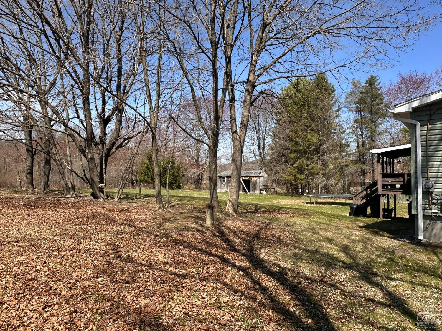 22 Woodland Road Craryville, NY 12521 - Photo 8 of 12 a view of a yard with a tree