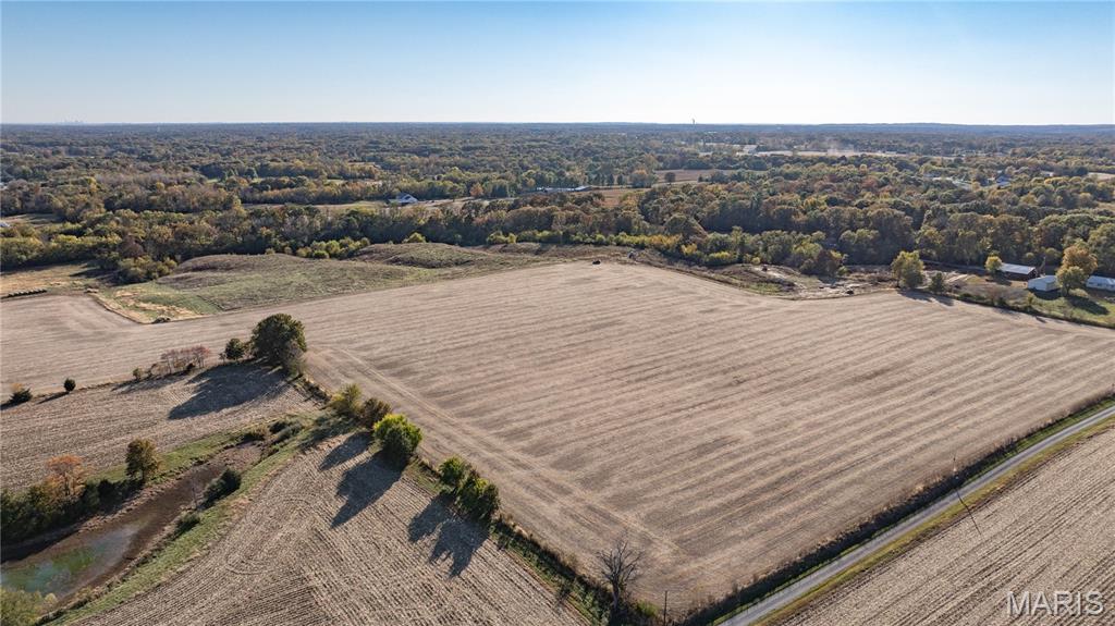 0 West County Line Road, Unit TRACT 2 Brighton, IL 62012 - Photo 5 of 8