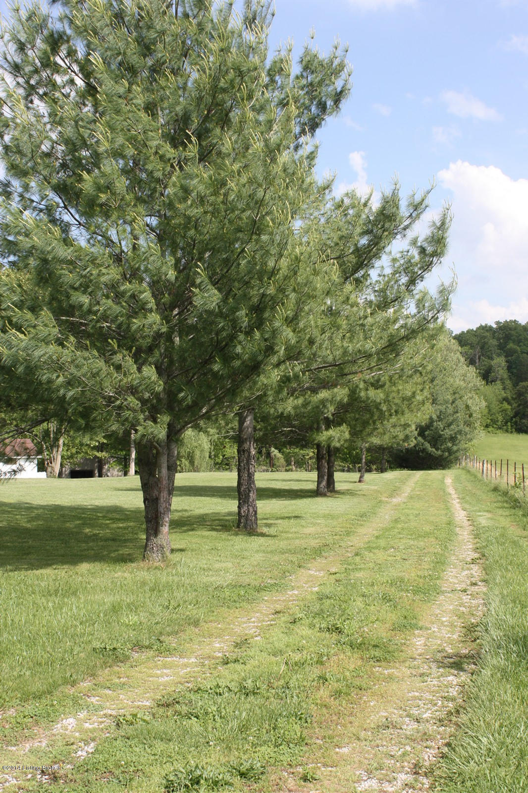 350 Milan Road Brandenburg, KY 40108 - Photo 29 of 31 IMG_0289