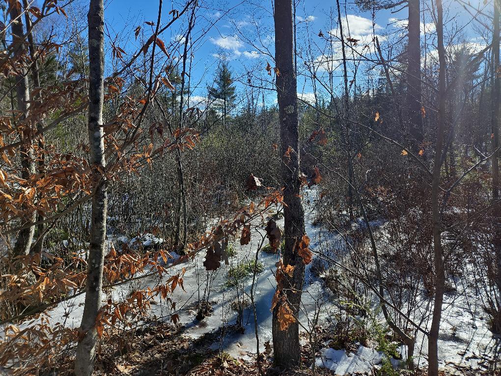 61-002 Soper's Mill Road Auburn, ME 04210 - Photo 12 of 36 photo_26d28678-6596-47d0-8b6c-c05268ef6d