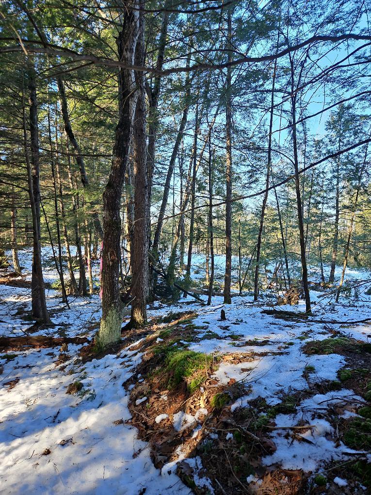 61-002 Soper's Mill Road Auburn, ME 04210 - Photo 28 of 36 photo_a38c6bc5-07fa-4937-9b13-5c7a1d8ae3