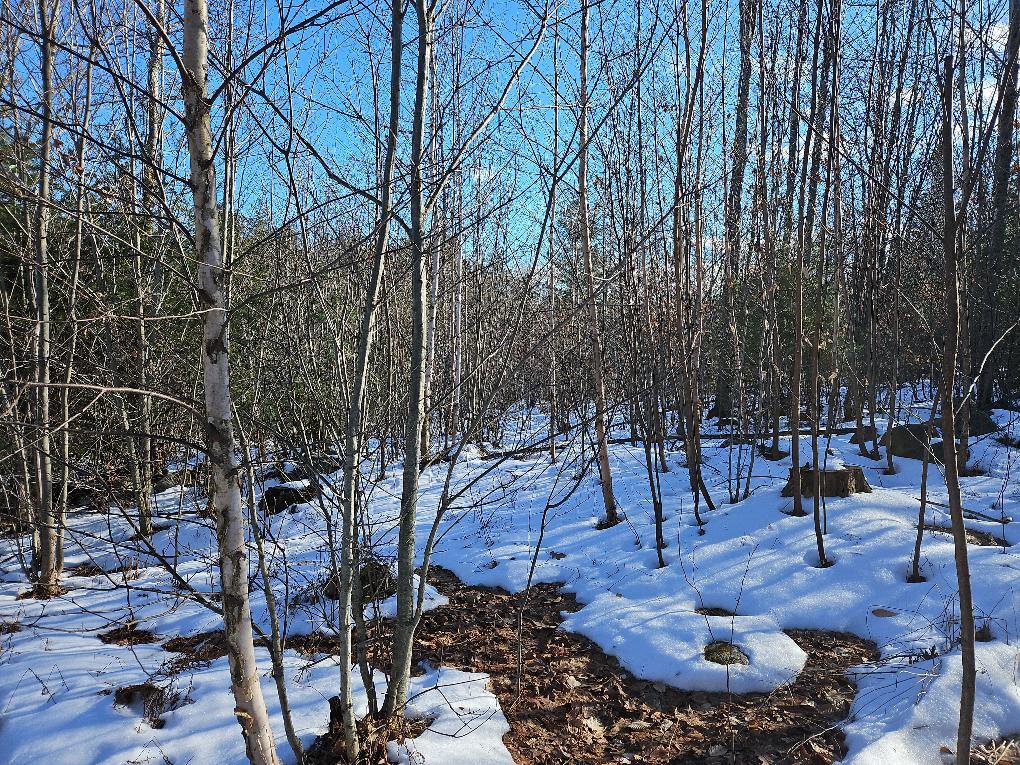 61-002 Soper's Mill Road Auburn, ME 04210 - Photo 30 of 36 photo_b315fbcd-d407-461a-8042-8cf1cfc676
