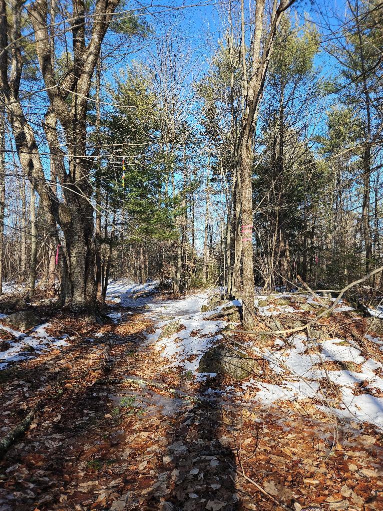 61-002 Soper's Mill Road Auburn, ME 04210 - Photo 32 of 36 photo_d05229ce-73fa-4ada-849d-22f9feb4fd
