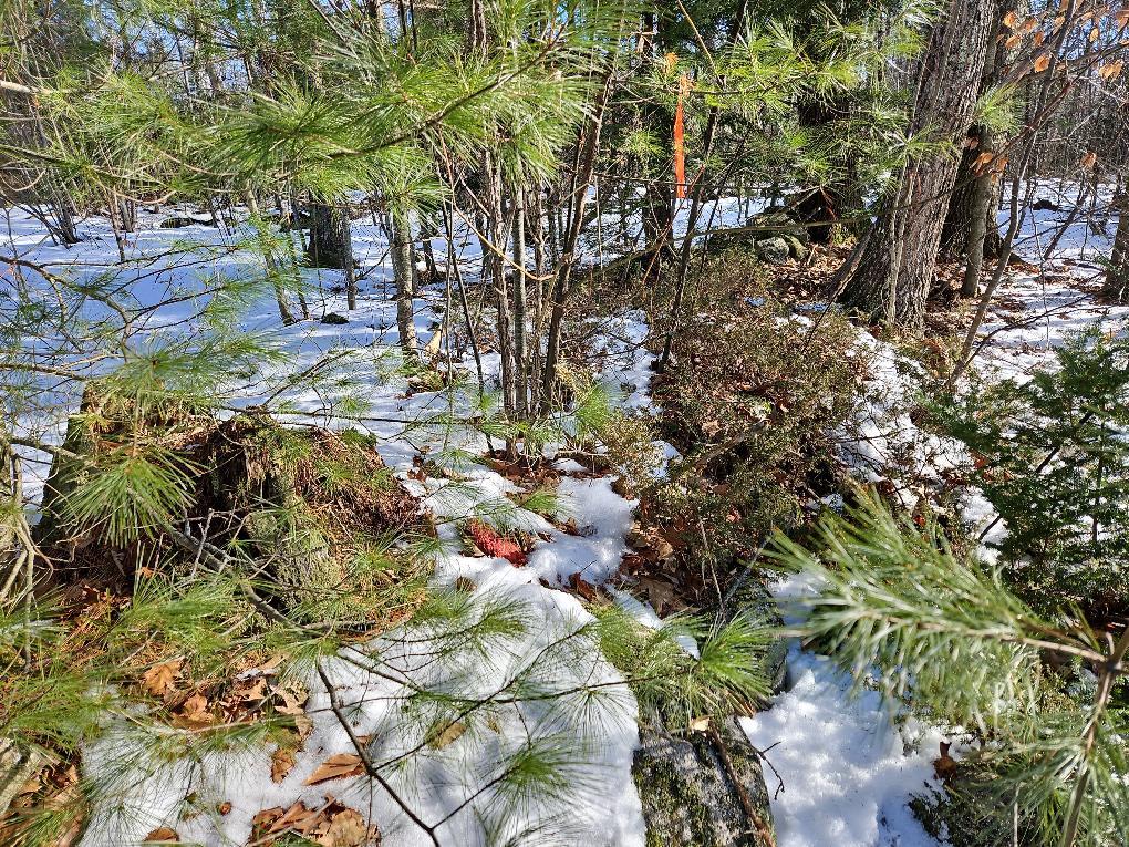61-002 Soper's Mill Road Auburn, ME 04210 - Photo 33 of 36 photo_ee880830-0309-49af-a3bc-360bb89b2b