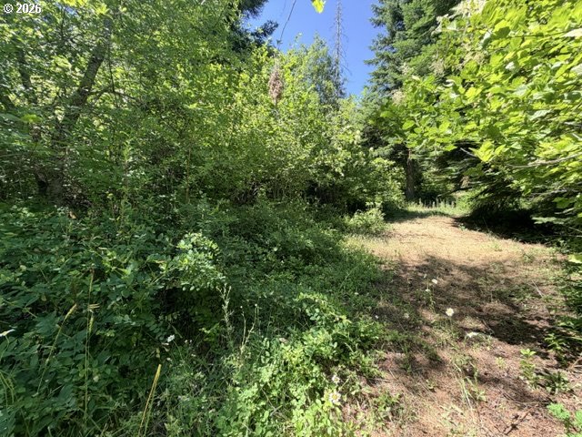 Snowden Road White Salmon, WA 98672 - Photo 25 of 26