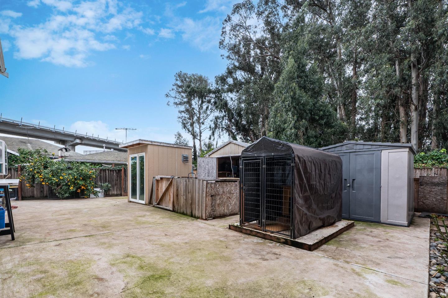 708 Raineer Court San Leandro, CA 94577 - Photo 29 of 32 a view of a house with a yard and large tree