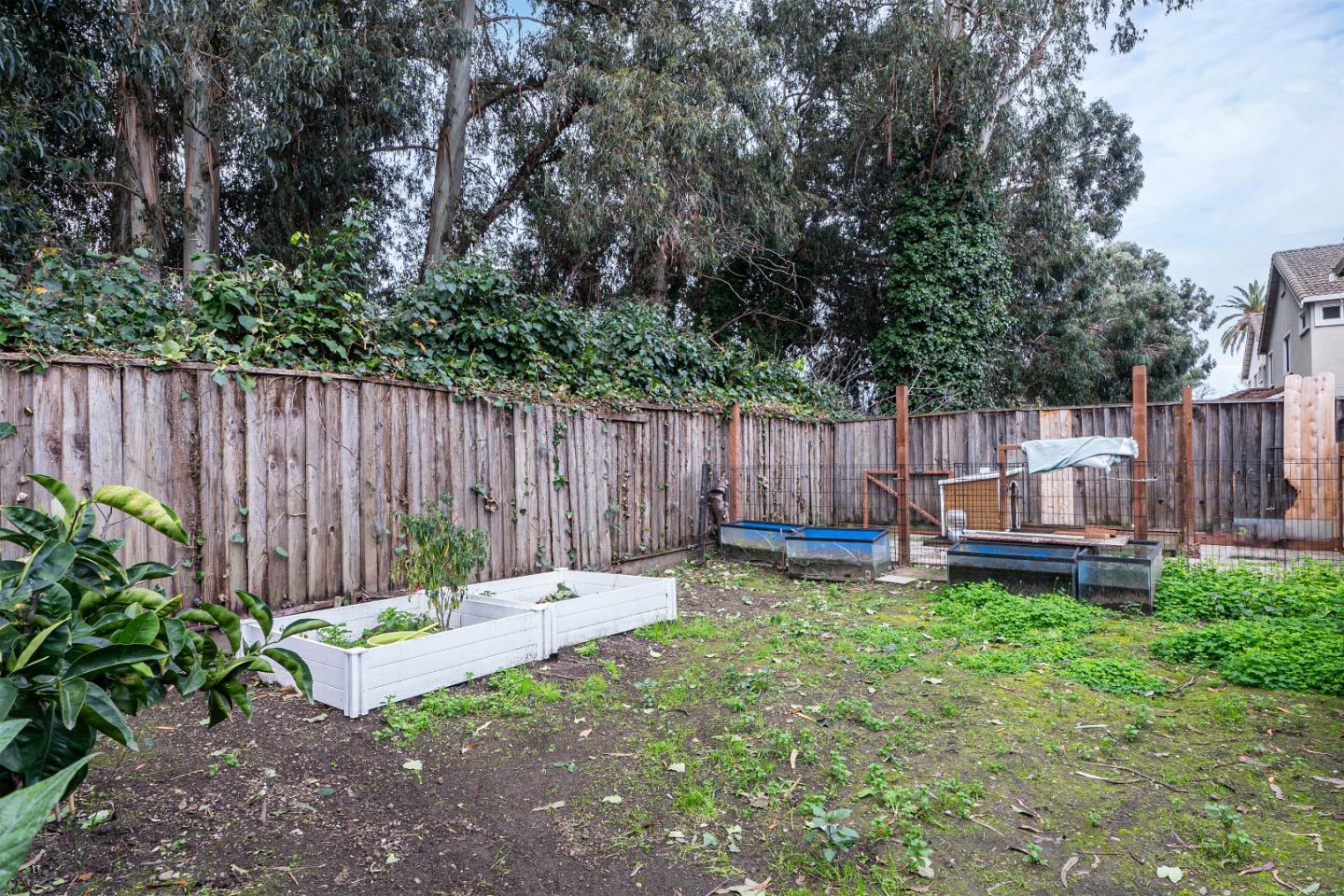 708 Raineer Court San Leandro, CA 94577 - Photo 30 of 32 a backyard of a house with table and chairs a barbeque