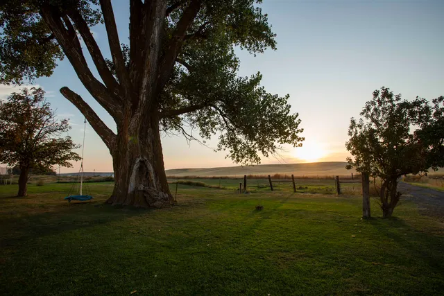 $619,000 | 16898 Mecklenburg Road North, Davenport, WA 99122