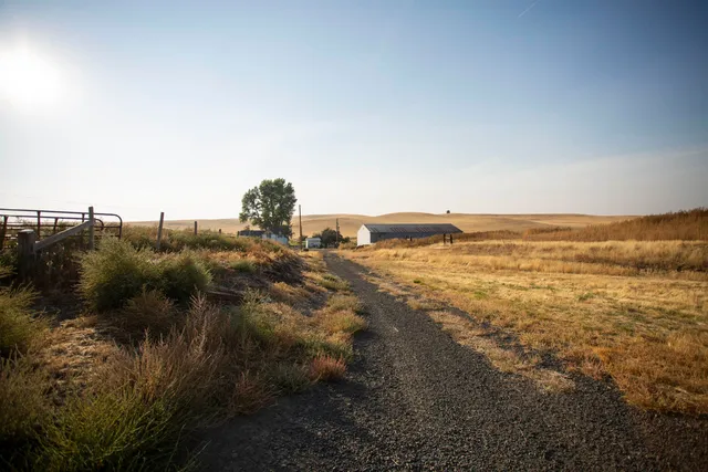 $619,000 | 16898 Mecklenburg Road North, Davenport, WA 99122