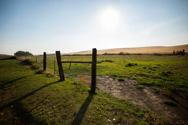 $619,000 | 16898 Mecklenburg Road North, Davenport, WA 99122