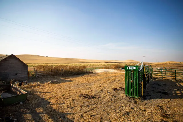 $619,000 | 16898 Mecklenburg Road North, Davenport, WA 99122