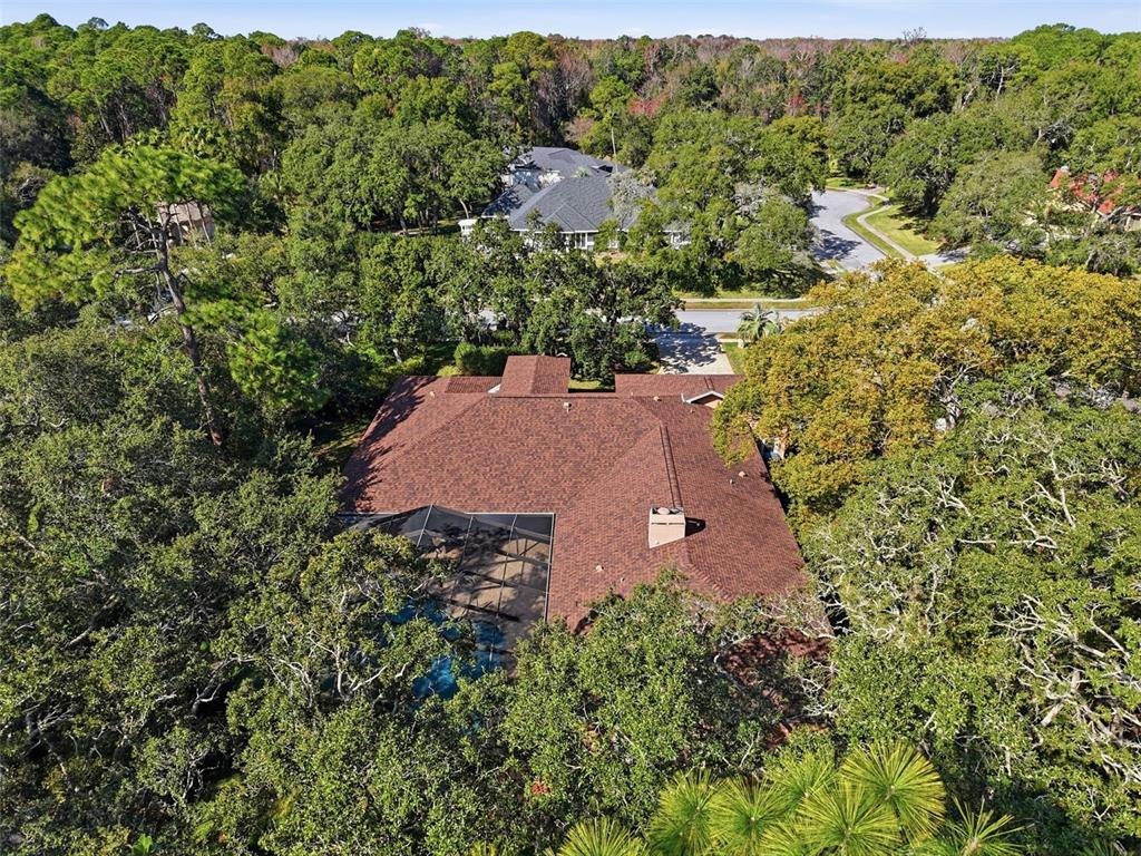 7336 Royal Oak Drive Spring Hill, FL 34607 - Photo 71 of 78