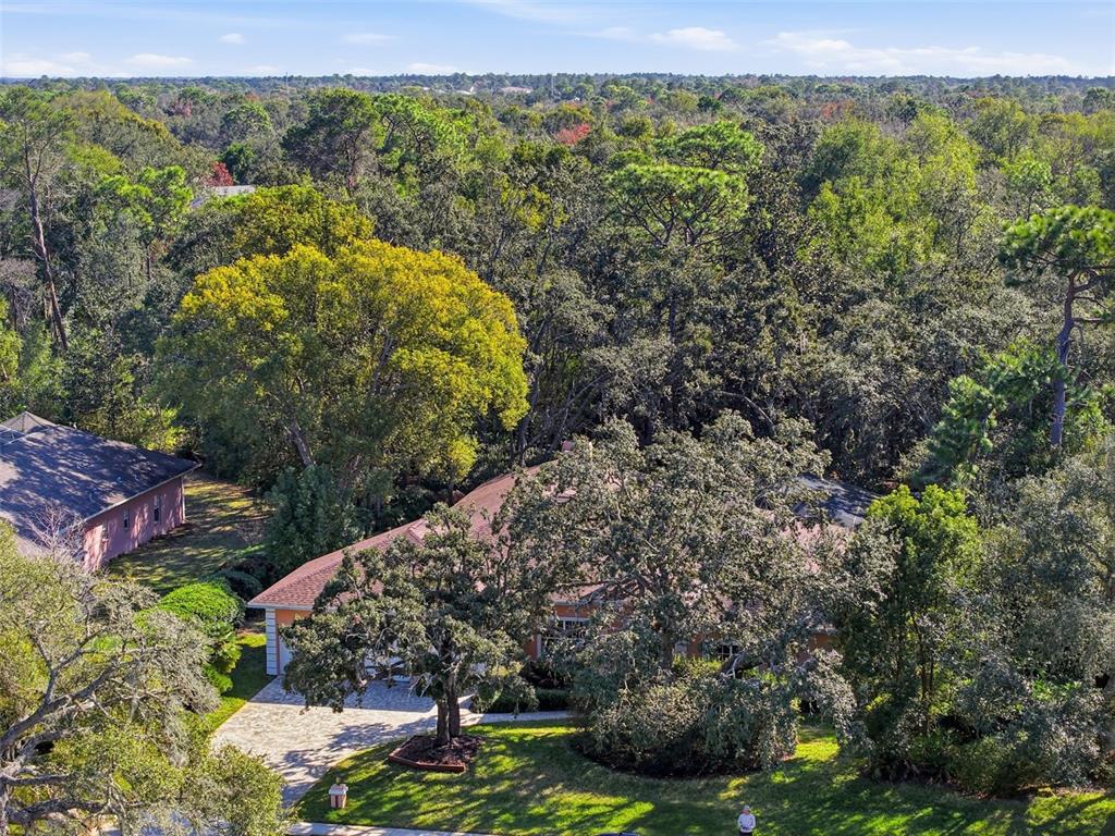 7336 Royal Oak Drive Spring Hill, FL 34607 - Photo 74 of 78