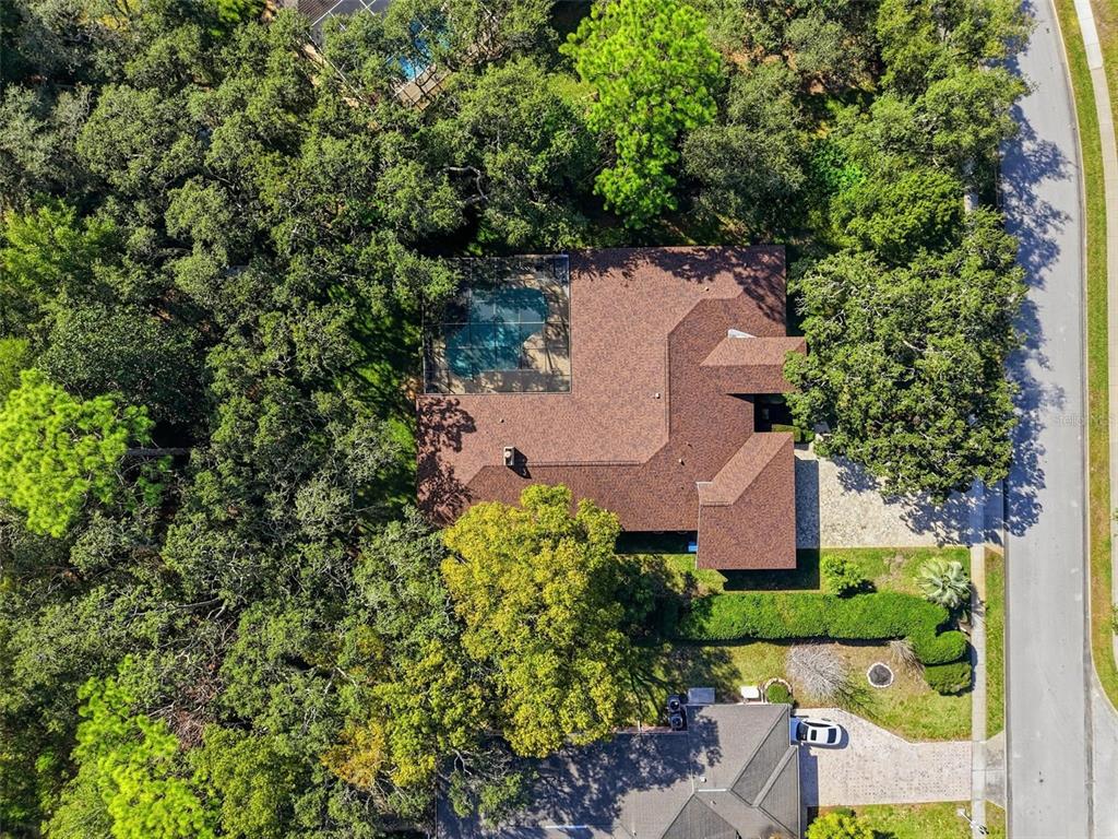 7336 Royal Oak Drive Spring Hill, FL 34607 - Photo 77 of 78