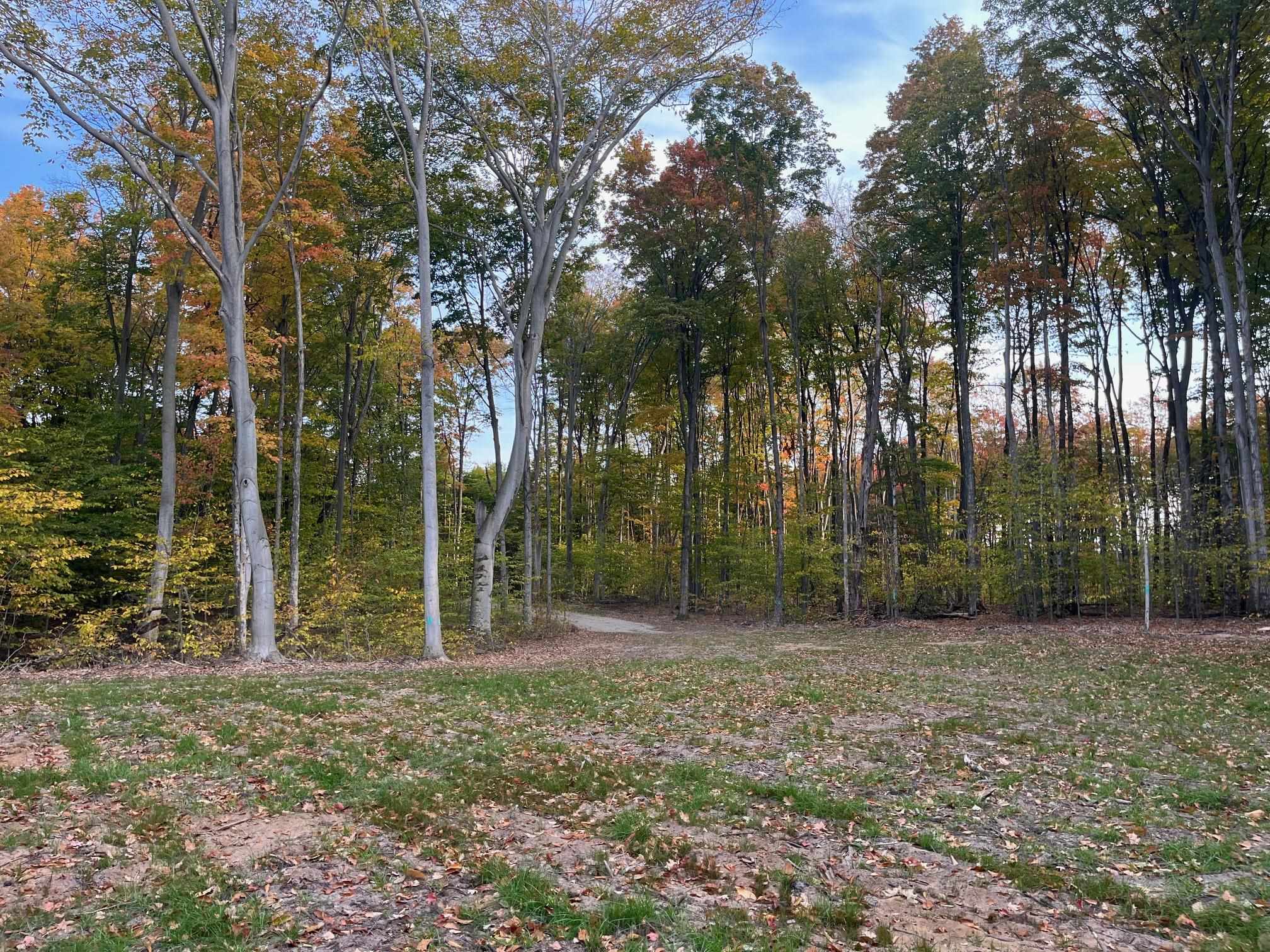 3 South Bright Road, Unit LOT: 3 Maple City, MI 49664 - Photo 8 of 16