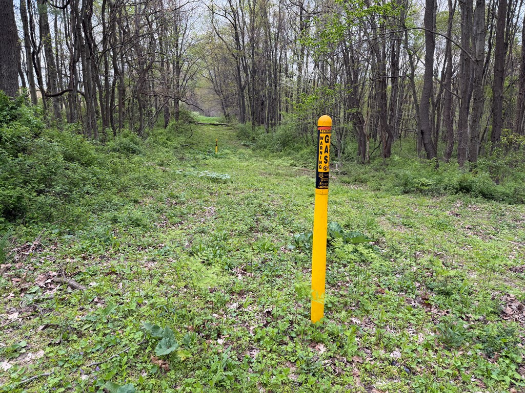0 Long Point Road Rimersburg, PA 16248 - Photo 15 of 22 Gallery Image 15