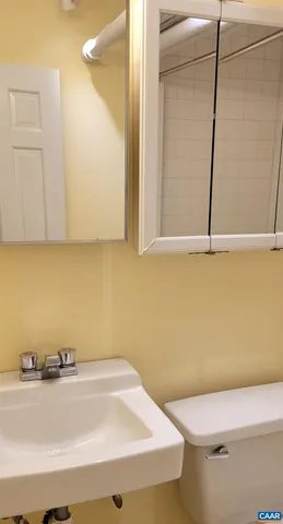 a bathroom with a sink and a toilet