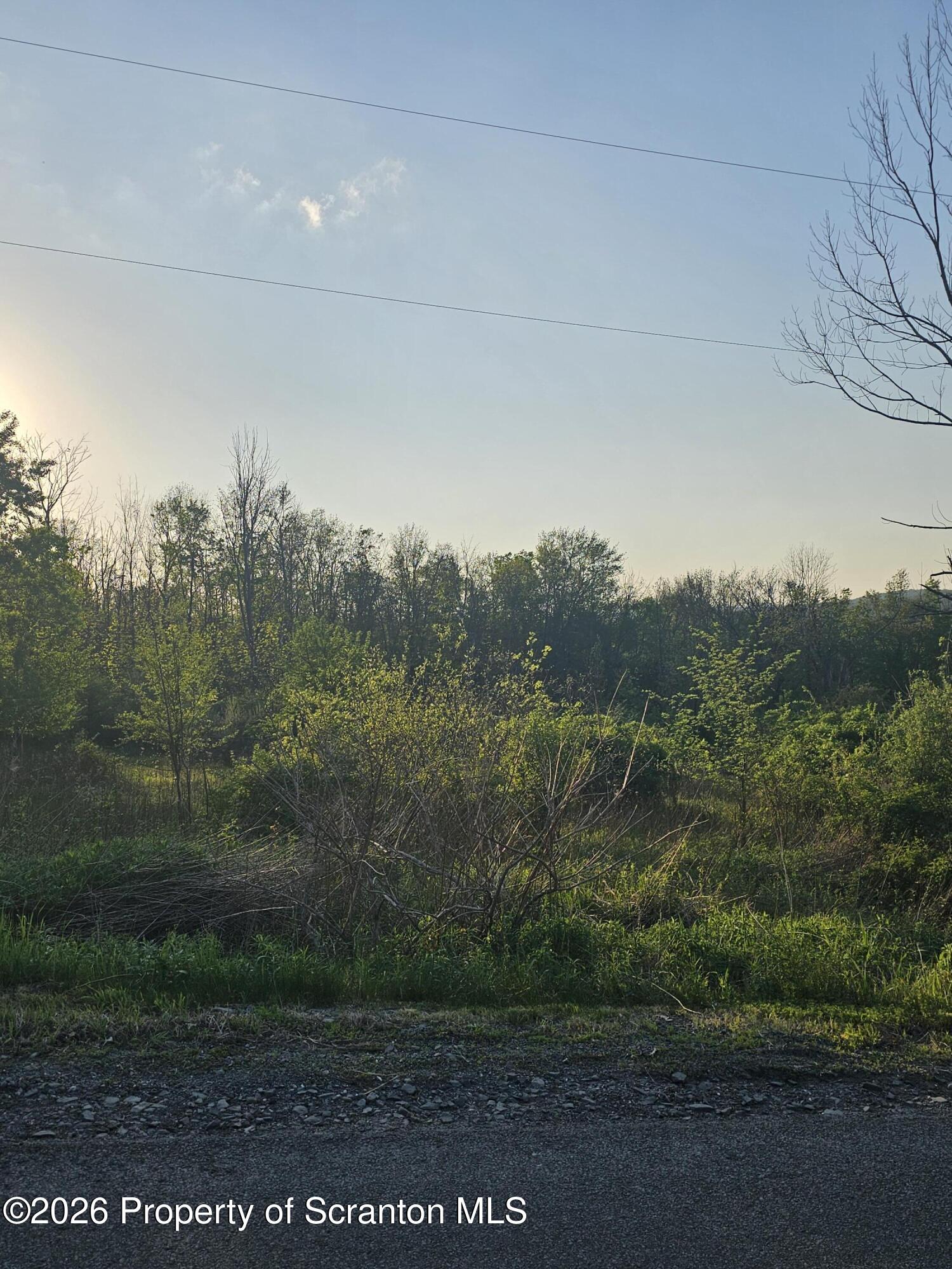 Callapoose Road Moscow, PA 18444 - Photo 5 of 5 a view of a yard