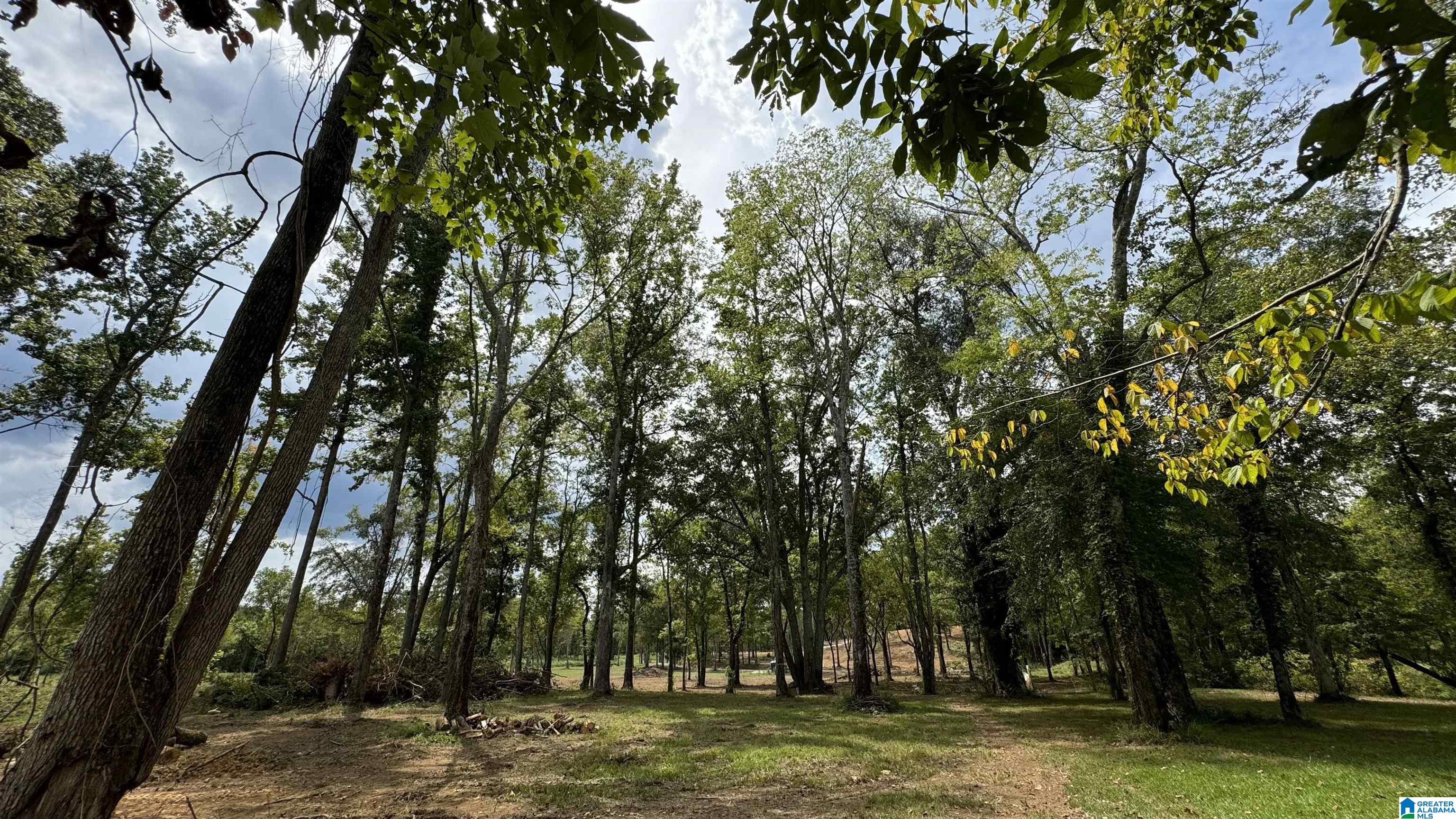 600 Wester Drive, Unit 22 Ragland, AL 35131 - Photo 88 of 96 Gallery Image 88