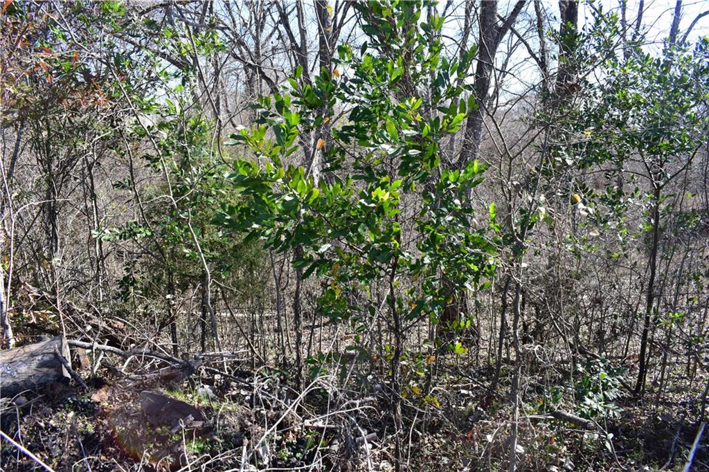 Tbd Schoolhouse Road Cloutierville, LA 71416 - Photo 15 of 15 Gallery Image 15