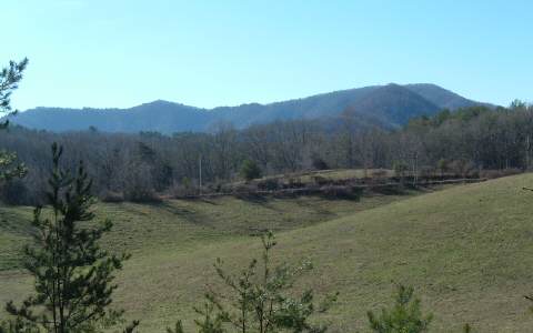 Lot 1 Hells Hollow Road Blue Ridge, GA 30513 - Photo 1 of 1 Main View