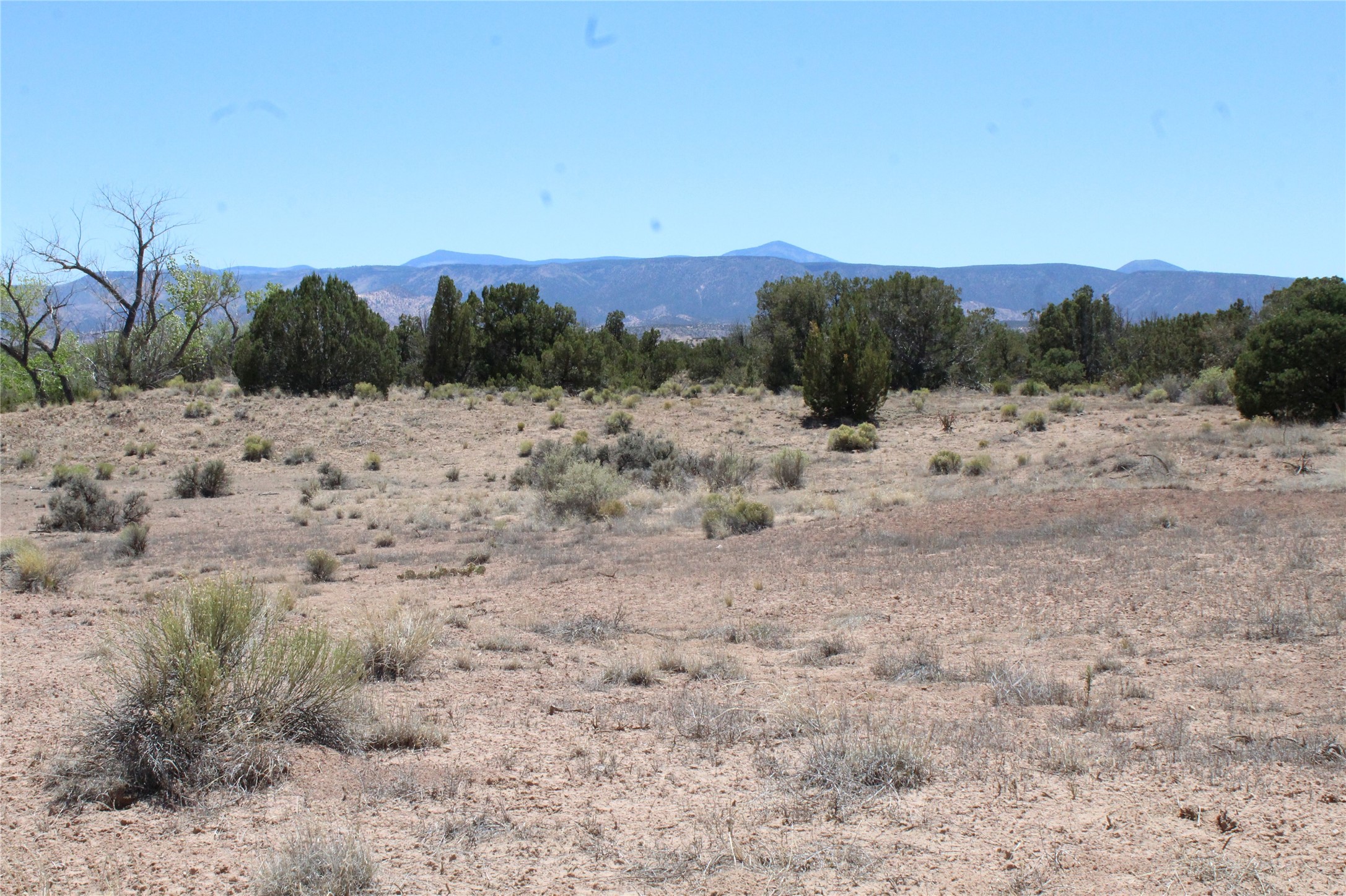 Tbd Tbd Bean Creek Road Abiquiu, NM 87510 - Photo 15 of 22