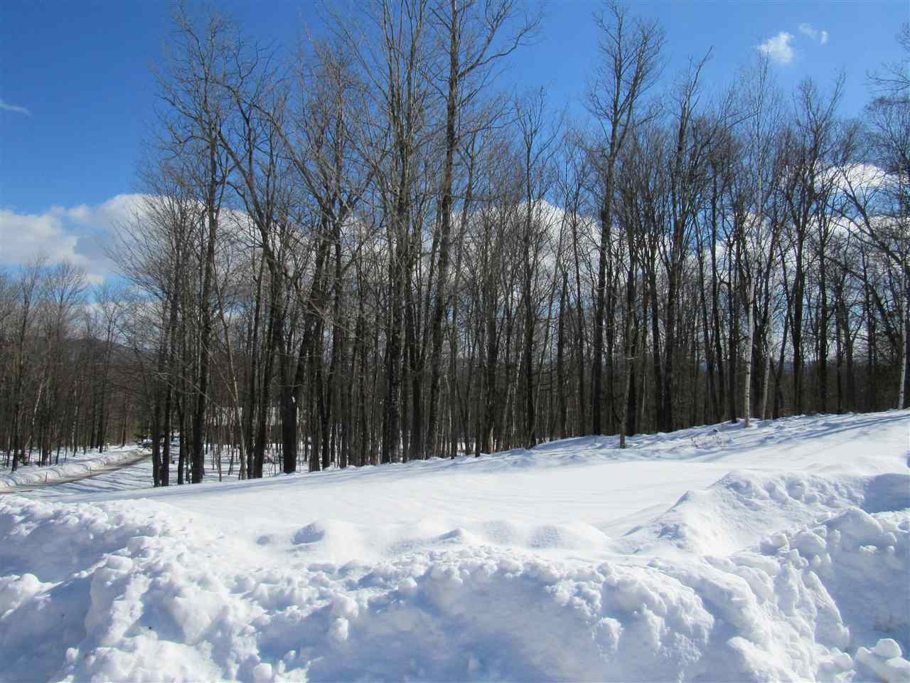 1017 North Jay Road Jay, VT 05859 - Photo 5 of 37 Gallery Image 5