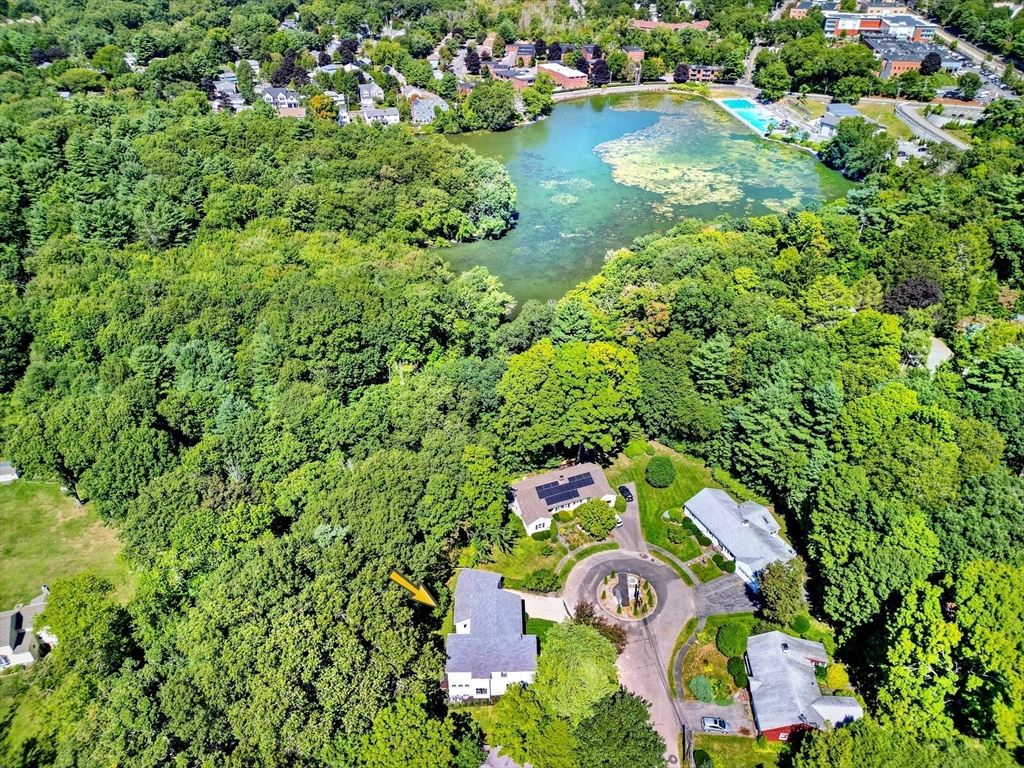 40 Lake Drive Needham, MA 02492 - Photo 30 of 34