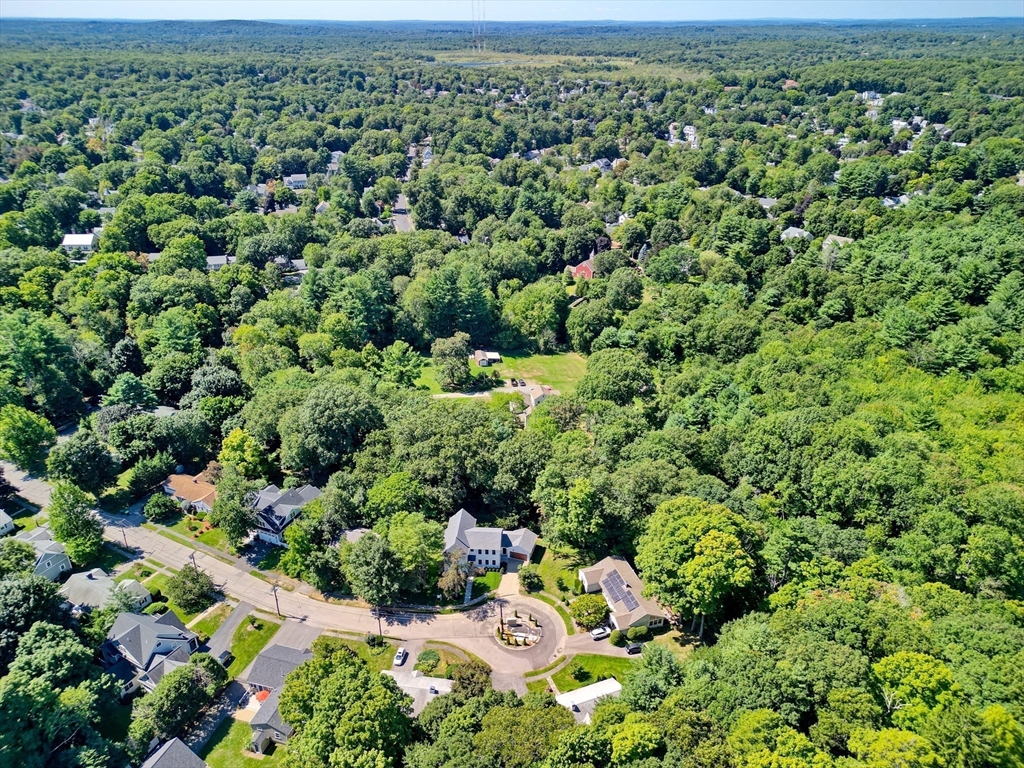 40 Lake Drive Needham, MA 02492 - Photo 31 of 34