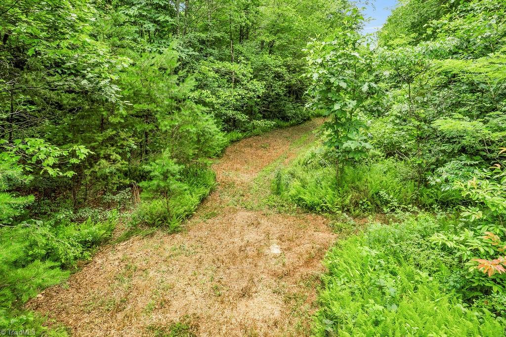 5148 Haystack Road Mount Airy, NC 27030 - Photo 42 of 48 Gallery Image 42