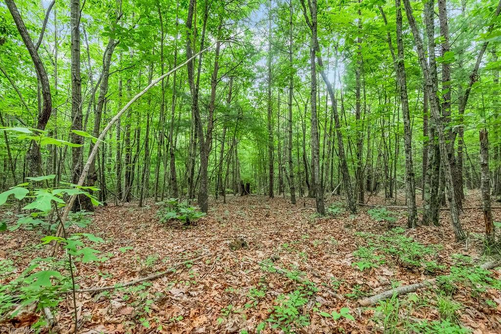 5148 Haystack Road Mount Airy, NC 27030 - Photo 46 of 48 Gallery Image 46