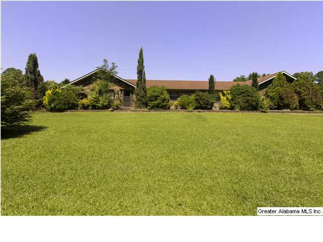 3706 Mt Olive Road Mount Olive, AL 35117 - Photo 20 of 20