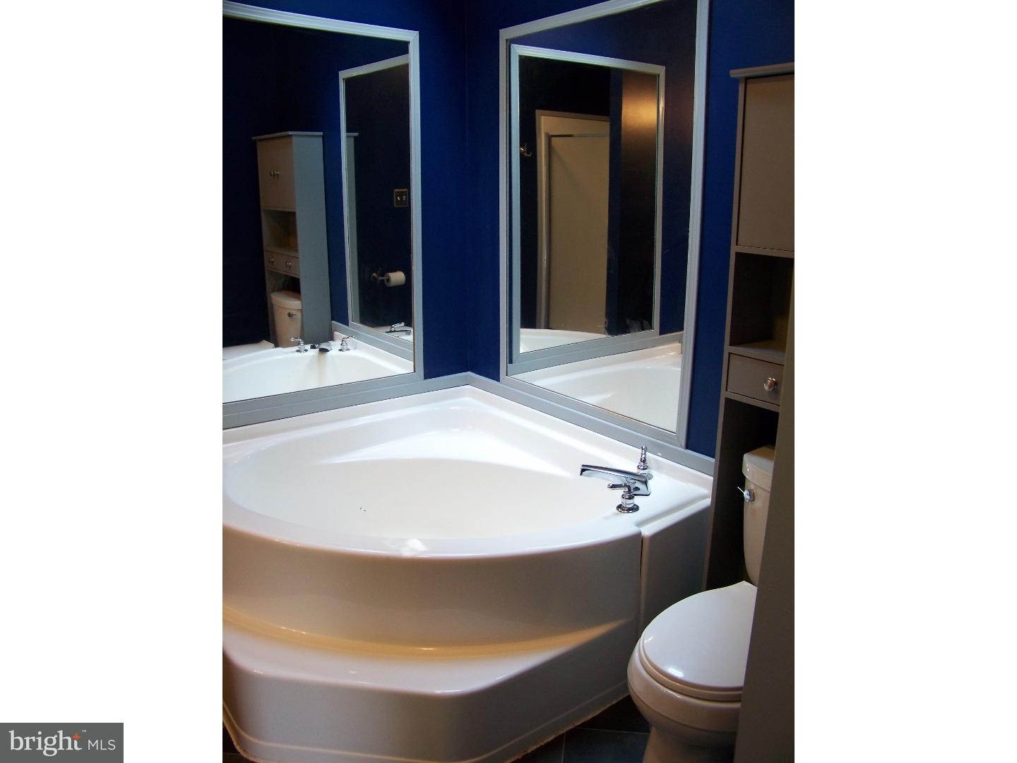 411 Ford Hook Road Doylestown, PA 18901 - Photo 19 of 25 Master Bathroom