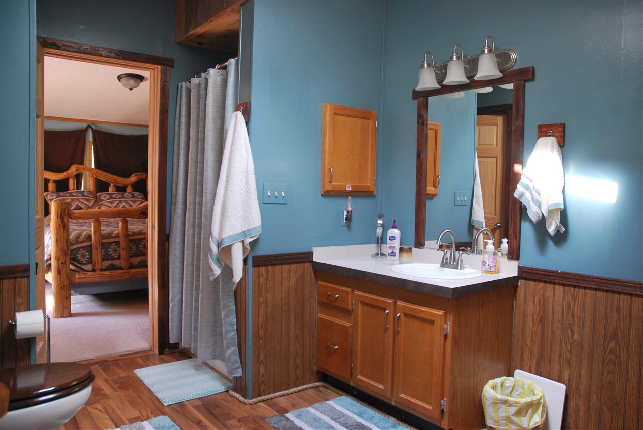8803 Mockerman Road Southeast Fife Lake, MI 49633 - Photo 16 of 45 1867717-15.JPG