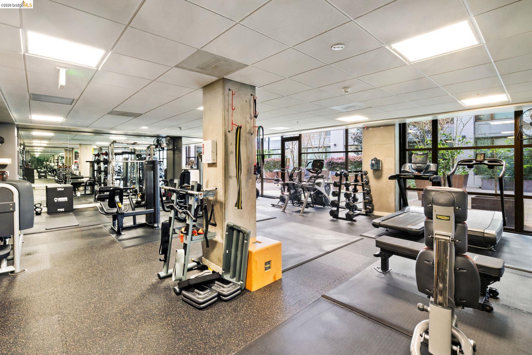 311 2nd Street, Unit 511 Oakland, CA 94607 - Photo 34 of 44 Workout area featuring a drop ceiling and floor to ceiling windows