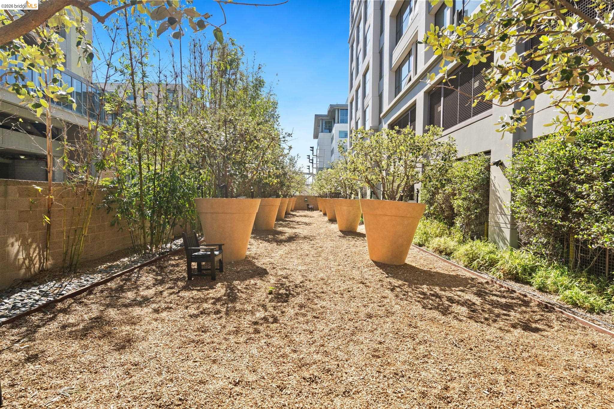 311 2nd Street, Unit 511 Oakland, CA 94607 - Photo 38 of 44 View of yard