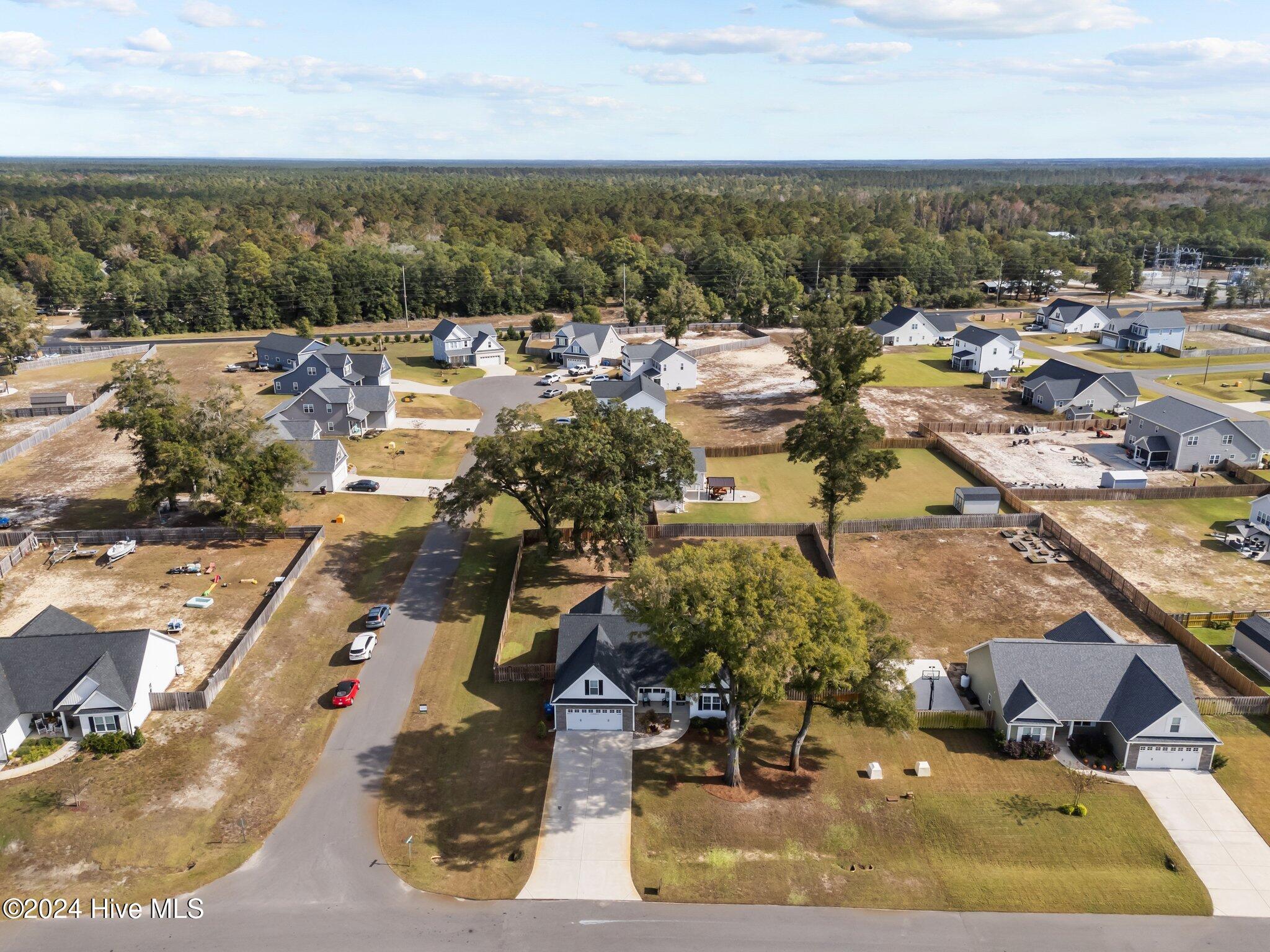 345 Darel Street Rocky Point, NC 28457 - Photo 41 of 48 52-web-or-mls-DJI_20241104125104_0080_D