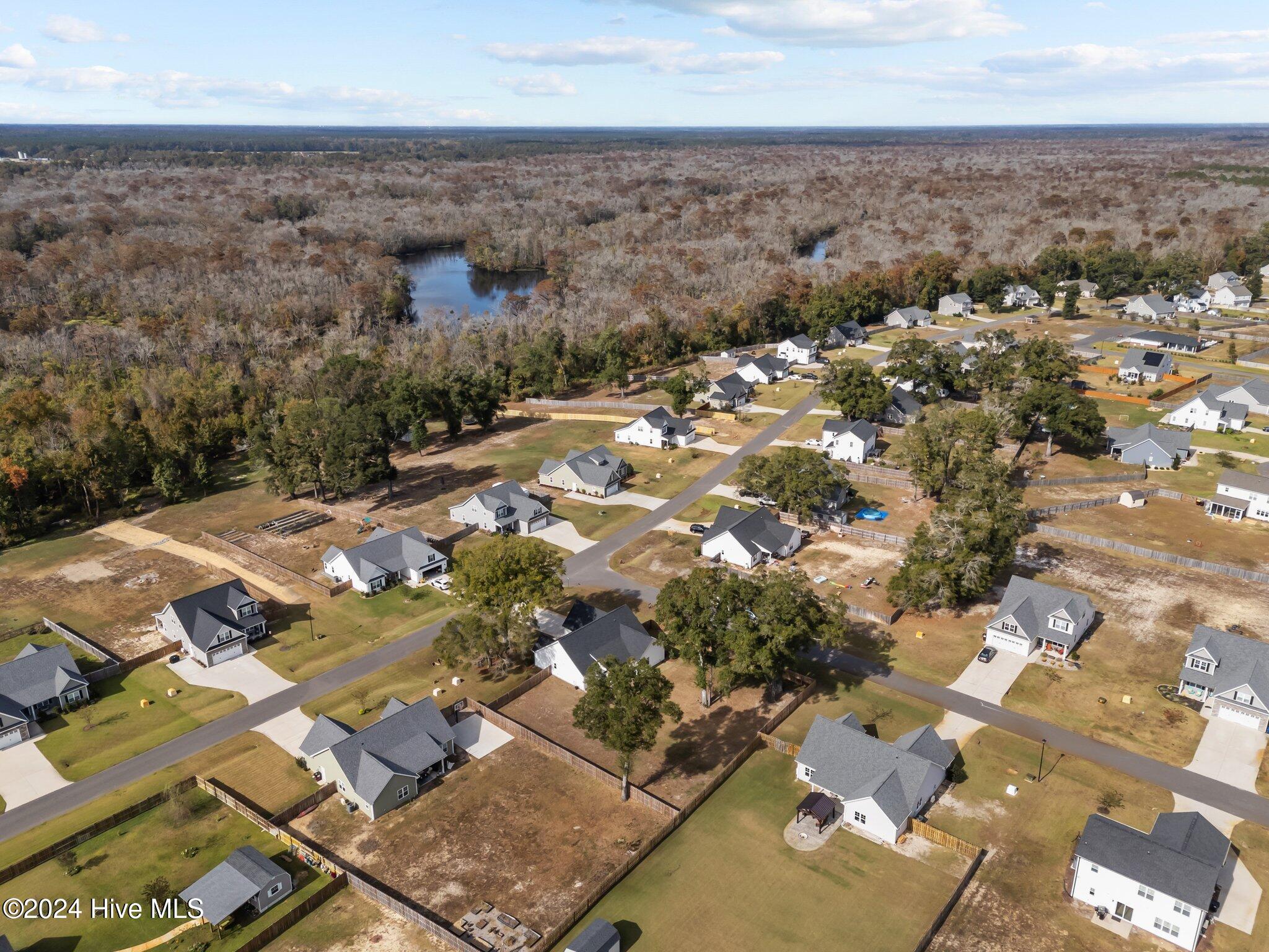 345 Darel Street Rocky Point, NC 28457 - Photo 43 of 48 54-web-or-mls-DJI_20241104125129_0082_D