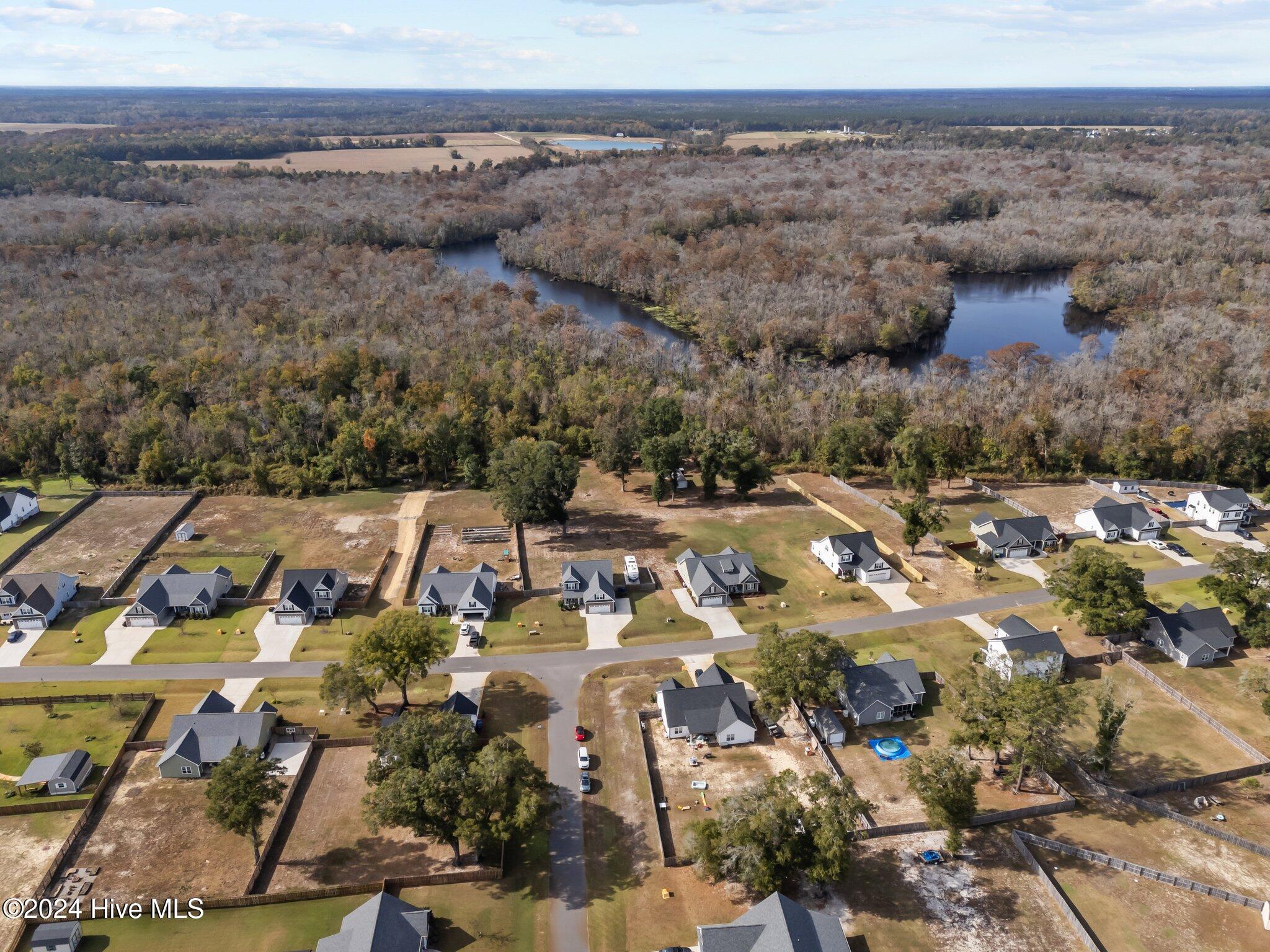 345 Darel Street Rocky Point, NC 28457 - Photo 44 of 48 55-web-or-mls-DJI_20241104125152_0083_D