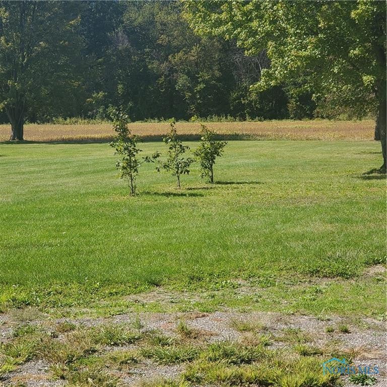 6256 Brown Road Oregon, OH 43616 - Photo 2 of 43 EXCLUDE 3 SEEDLINGS TREES