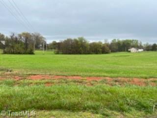 2679 Whitaker Road Boonville, NC 27011 - Photo 4 of 6 Gallery Image 4