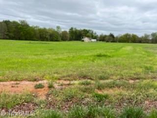 2679 Whitaker Road Boonville, NC 27011 - Photo 5 of 6 Gallery Image 5