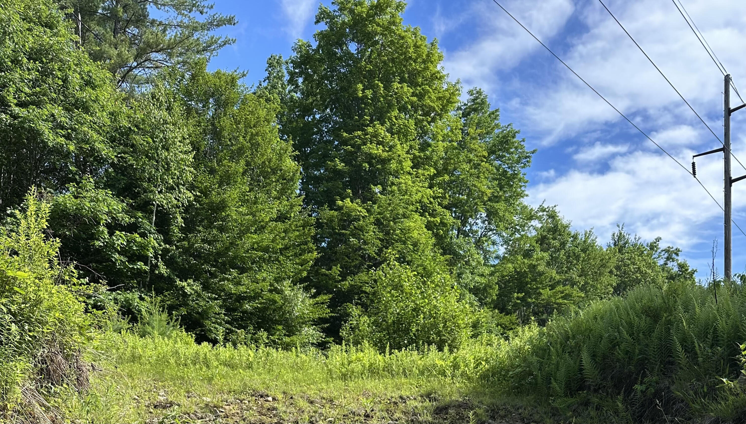 Lot 020 Canton Mountain Road Jay, ME 04239 - Photo 2 of 7