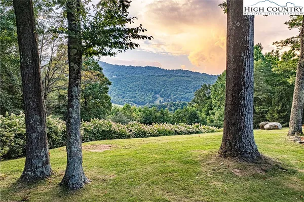 a view of a garden with a tree
